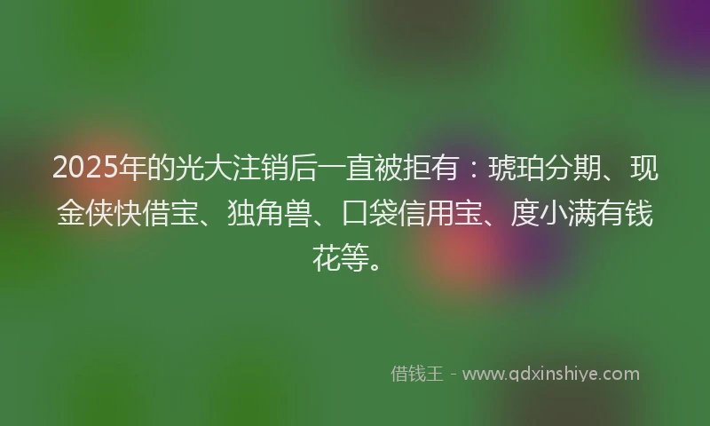 2025年的光大注销后一直被拒有：琥珀分期、现金侠快借宝、独角兽、口袋信用宝、度小满有钱花等。