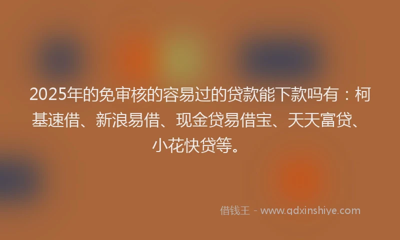 2025年的免审核的容易过的贷款能下款吗有：柯基速借、新浪易借、现金贷易借宝、天天富贷、小花快贷等。