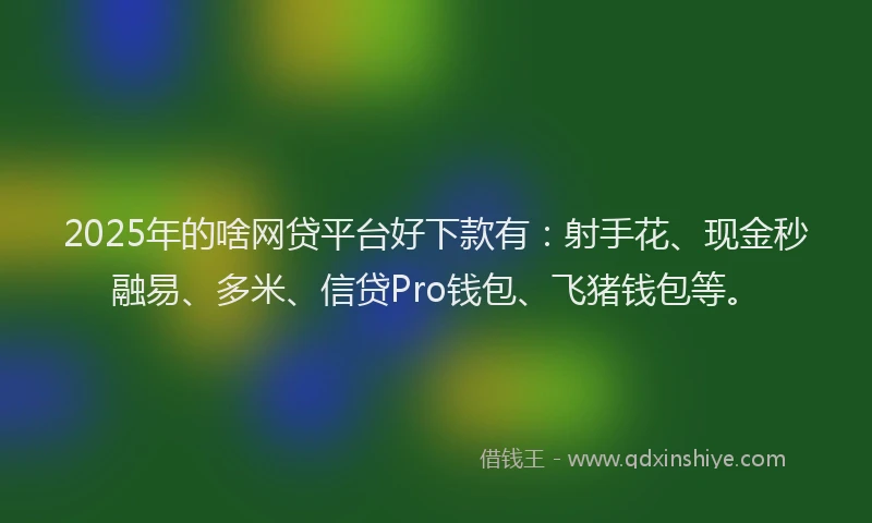 2025年的啥网贷平台好下款有：射手花、现金秒融易、多米、信贷Pro钱包、飞猪钱包等。