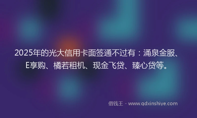 2025年的光大信用卡面签通不过有：涌泉金服、E享购、橘若租机、现金飞贷、臻心贷等。