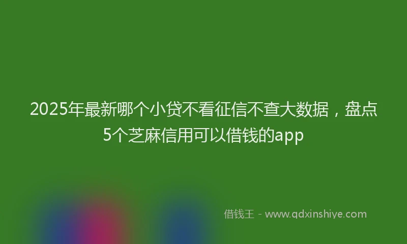 2025年最新哪个小贷不看征信不查大数据，盘点5个芝麻信用可以借钱的app