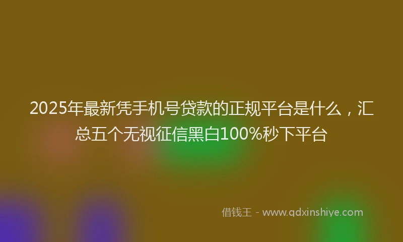 2025年最新凭手机号贷款的正规平台是什么，汇总五个无视征信黑白100%秒下平台