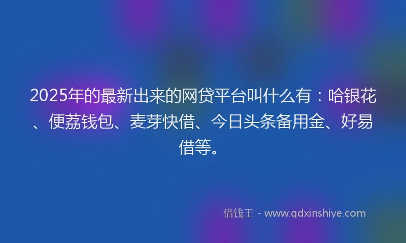 2025年的最新出来的网贷平台叫什么有：哈银花、便荔钱包、麦芽快借、今日头条备用金、好易借等。