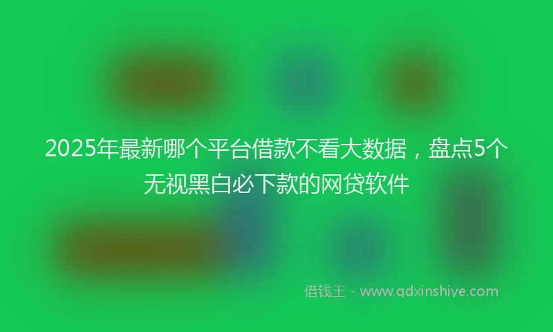 2025年最新哪个平台借款不看大数据，盘点5个无视黑白必下款的网贷软件