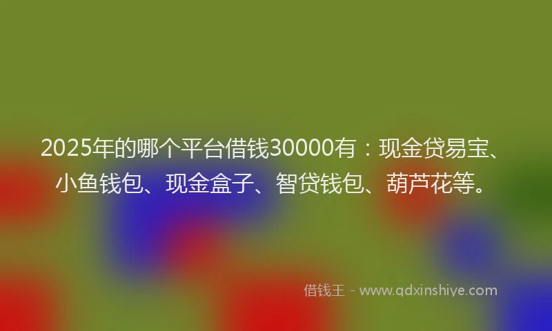 2025年的哪个平台借钱30000有：现金贷易宝、小鱼钱包、现金盒子、智贷钱包、葫芦花等。