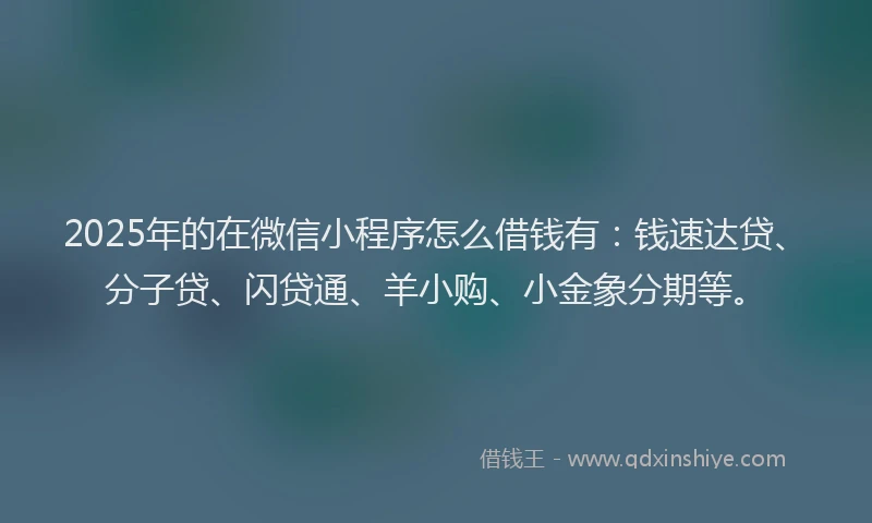 2025年的在微信小程序怎么借钱有：钱速达贷、分子贷、闪贷通、羊小购、小金象分期等。