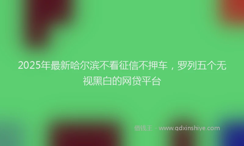 2025年最新哈尔滨不看征信不押车，罗列五个无视黑白的网贷平台