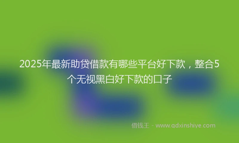 2025年最新助贷借款有哪些平台好下款，整合5个无视黑白好下款的口子
