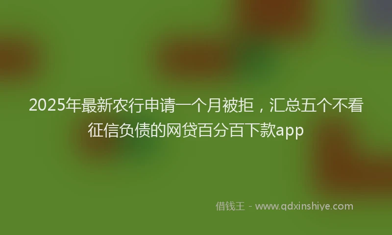 2025年最新农行申请一个月被拒，汇总五个不看征信负债的网贷百分百下款app