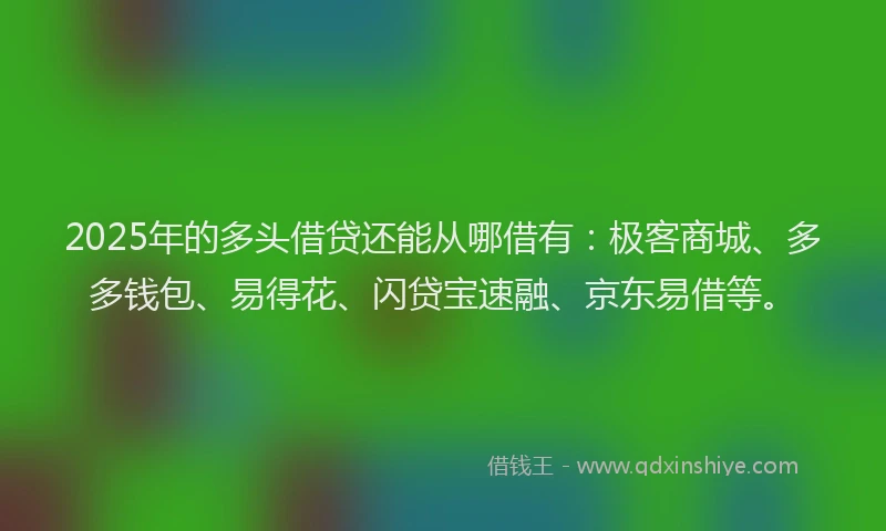 2025年的多头借贷还能从哪借有：极客商城、多多钱包、易得花、闪贷宝速融、京东易借等。
