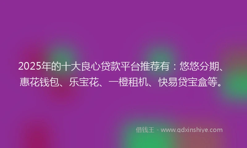 2025年的十大良心贷款平台推荐有：悠悠分期、惠花钱包、乐宝花、一橙租机、快易贷宝盒等。