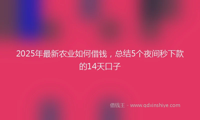 2025年最新农业如何借钱，总结5个夜间秒下款的14天口子