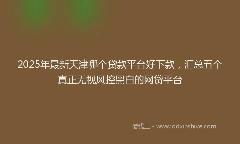 2025年最新天津哪个贷款平台好下款，汇总五个真正无视风控黑白的网贷平台