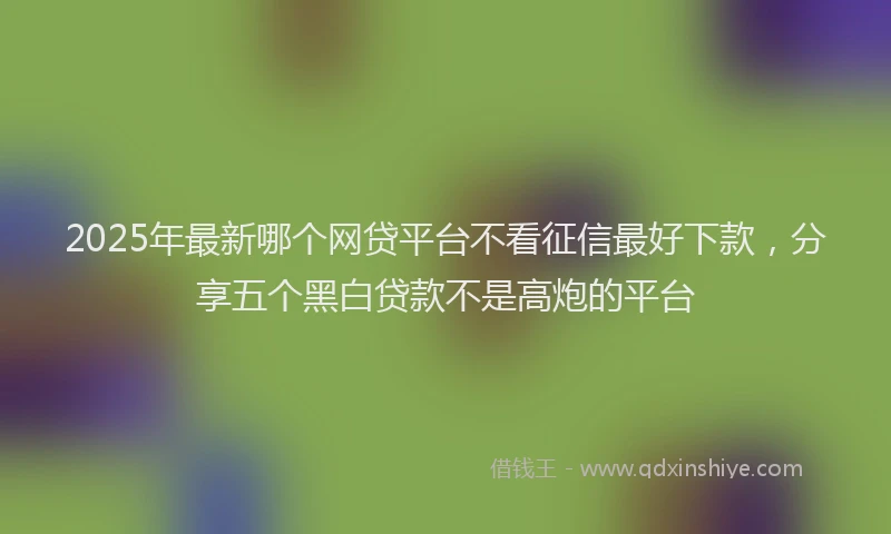 2025年最新哪个网贷平台不看征信最好下款，分享五个黑白贷款不是高炮的平台