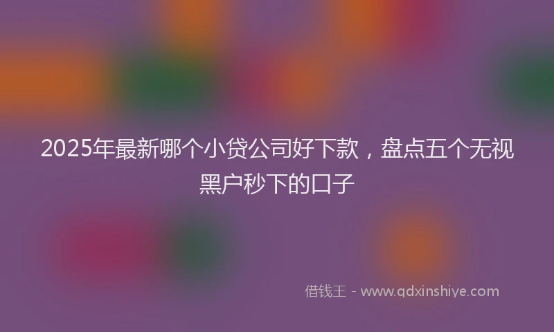 2025年最新哪个小贷公司好下款，盘点五个无视黑户秒下的口子