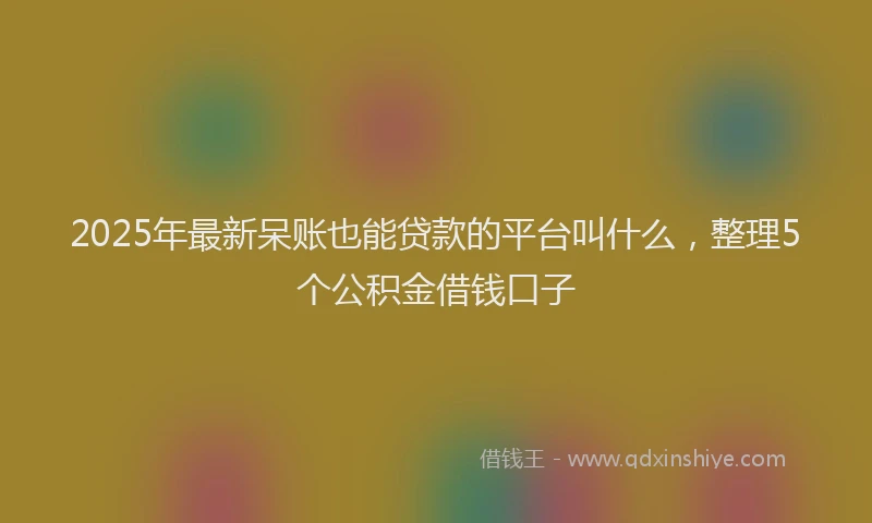 2025年最新呆账也能贷款的平台叫什么，整理5个公积金借钱口子