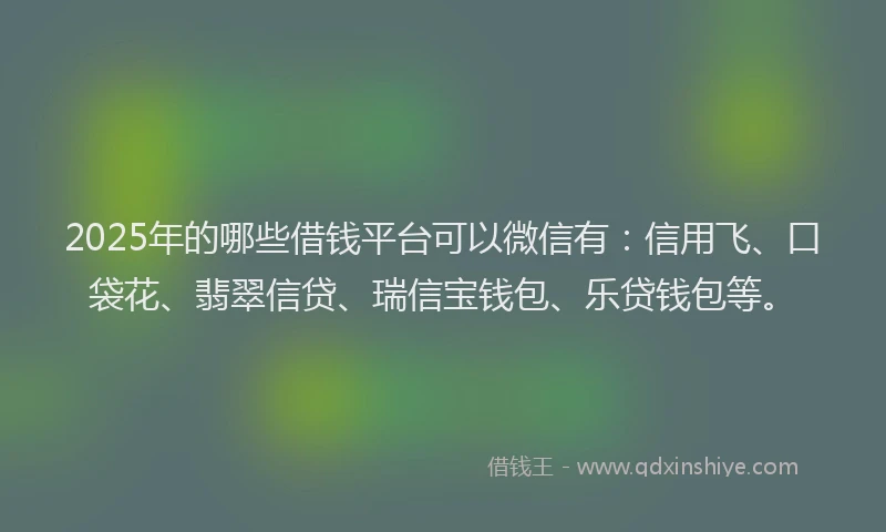 2025年的哪些借钱平台可以微信有：信用飞、口袋花、翡翠信贷、瑞信宝钱包、乐贷钱包等。