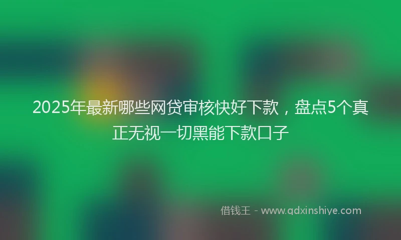 2025年最新哪些网贷审核快好下款，盘点5个真正无视一切黑能下款口子