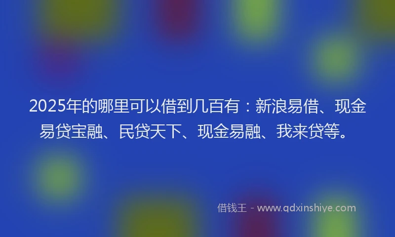 2025年的哪里可以借到几百有：新浪易借、现金易贷宝融、民贷天下、现金易融、我来贷等。