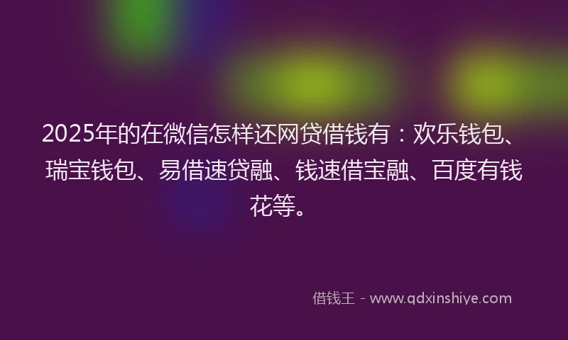 2025年的在微信怎样还网贷借钱有：欢乐钱包、瑞宝钱包、易借速贷融、钱速借宝融、百度有钱花等。