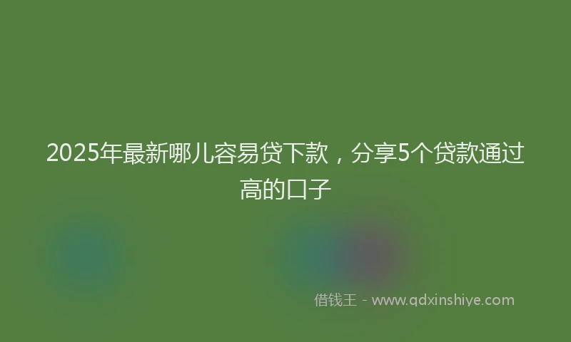 2025年最新哪儿容易贷下款，分享5个贷款通过高的口子