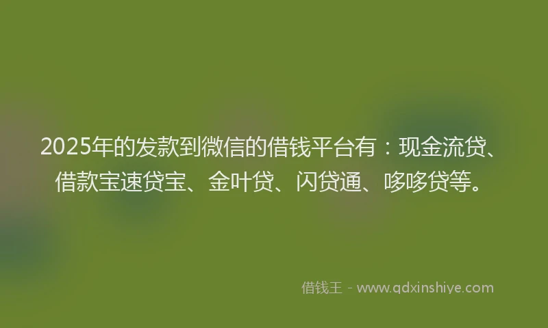 2025年的发款到微信的借钱平台有：现金流贷、借款宝速贷宝、金叶贷、闪贷通、哆哆贷等。