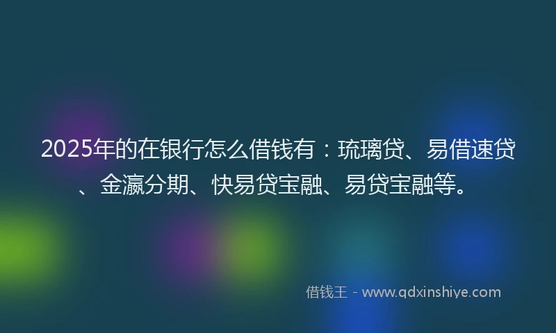 2025年的在银行怎么借钱有：琉璃贷、易借速贷、金瀛分期、快易贷宝融、易贷宝融等。