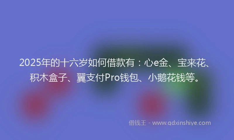 2025年的十六岁如何借款有：心e金、宝来花、积木盒子、翼支付Pro钱包、小鹅花钱等。