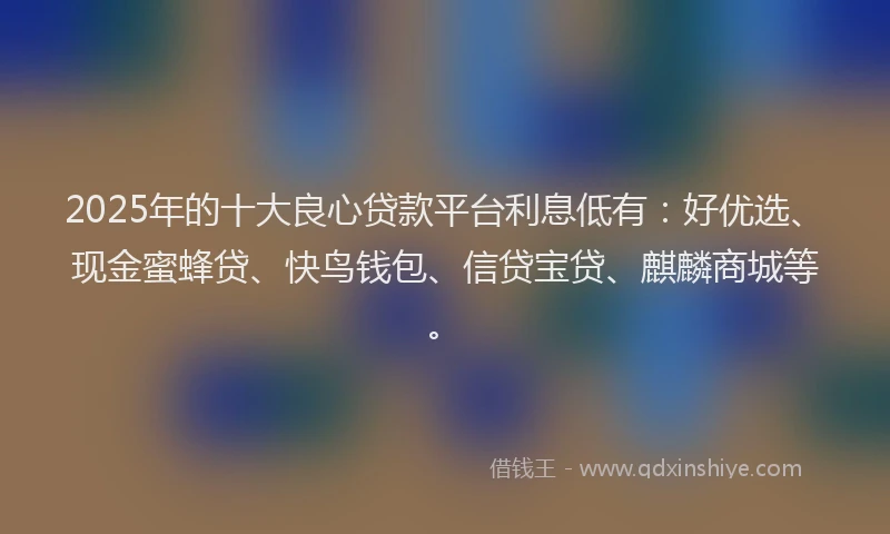 2025年的十大良心贷款平台利息低有：好优选、现金蜜蜂贷、快鸟钱包、信贷宝贷、麒麟商城等。
