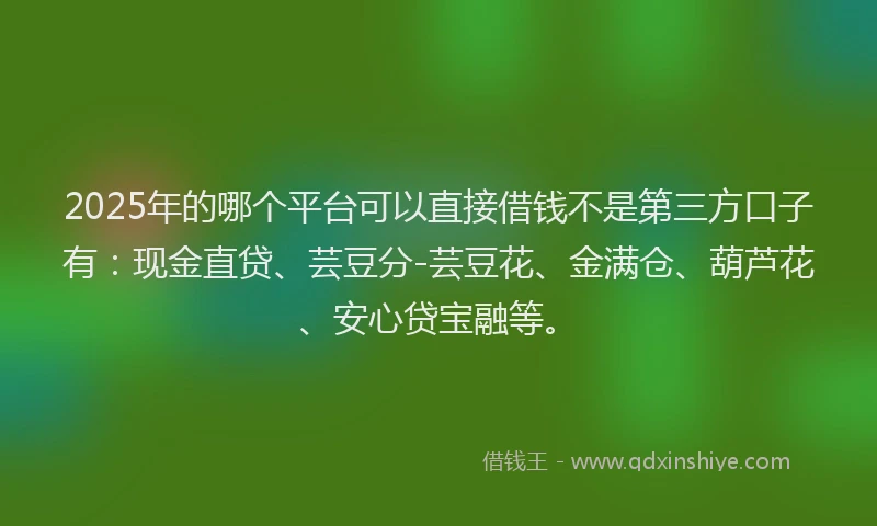 2025年的哪个平台可以直接借钱不是第三方口子有：现金直贷、芸豆分-芸豆花、金满仓、葫芦花、安心贷宝融等。