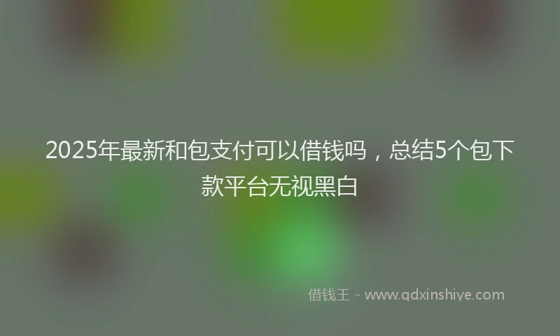 2025年最新和包支付可以借钱吗，总结5个包下款平台无视黑白