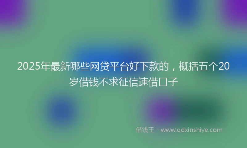 2025年最新哪些网贷平台好下款的，概括五个20岁借钱不求征信速借口子