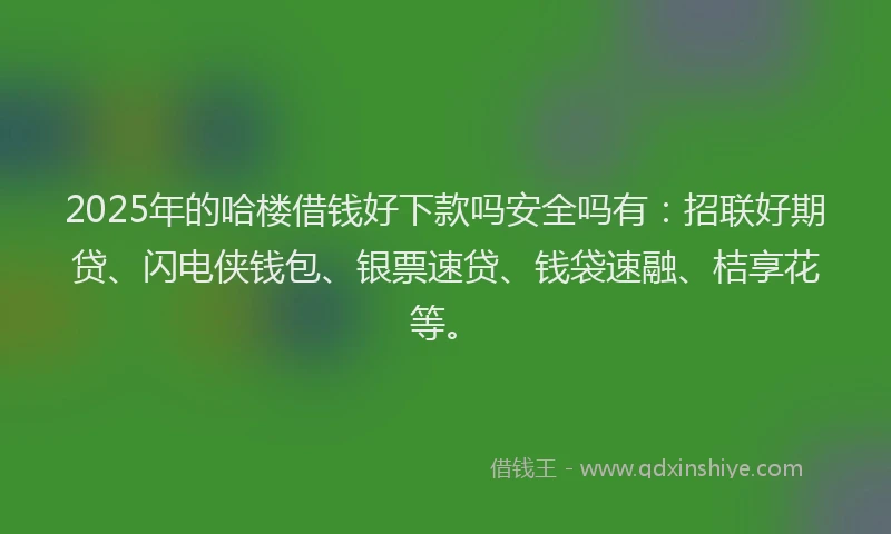 2025年的哈楼借钱好下款吗安全吗有：招联好期贷、闪电侠钱包、银票速贷、钱袋速融、桔享花等。