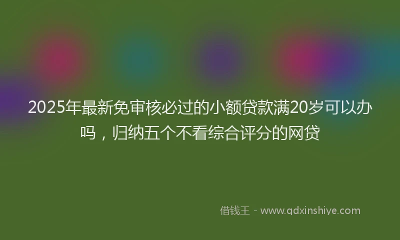 2025年最新免审核必过的小额贷款满20岁可以办吗，归纳五个不看综合评分的网贷