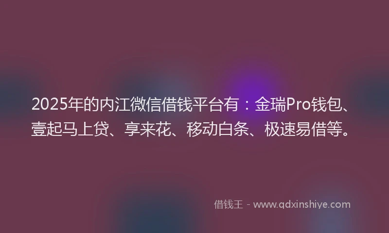 2025年的内江微信借钱平台有：金瑞Pro钱包、壹起马上贷、享来花、移动白条、极速易借等。