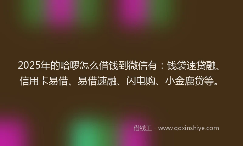 2025年的哈啰怎么借钱到微信有：钱袋速贷融、信用卡易借、易借速融、闪电购、小金鹿贷等。