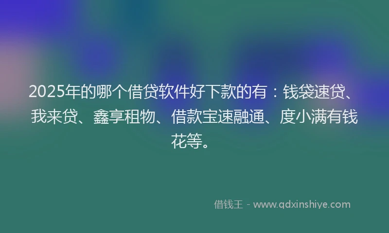2025年的哪个借贷软件好下款的有：钱袋速贷、我来贷、鑫享租物、借款宝速融通、度小满有钱花等。
