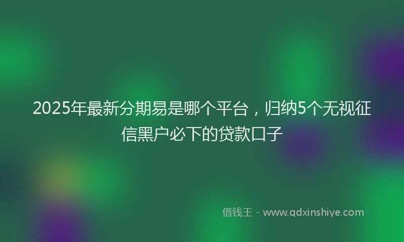 2025年最新分期易是哪个平台，归纳5个无视征信黑户必下的贷款口子