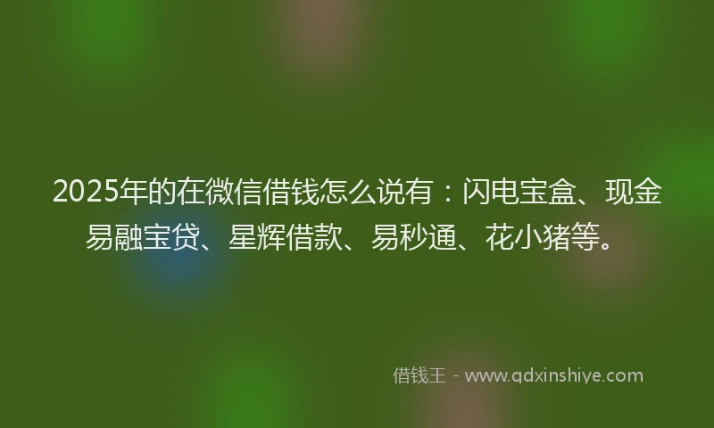 2025年的在微信借钱怎么说有：闪电宝盒、现金易融宝贷、星辉借款、易秒通、花小猪等。