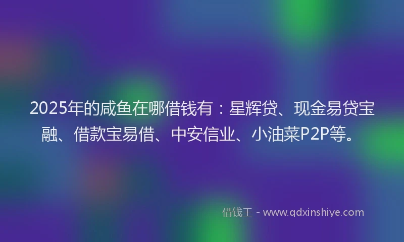 2025年的咸鱼在哪借钱有：星辉贷、现金易贷宝融、借款宝易借、中安信业、小油菜P2P等。