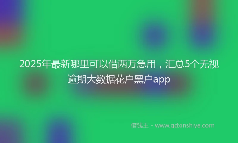 2025年最新哪里可以借两万急用，汇总5个无视逾期大数据花户黑户app