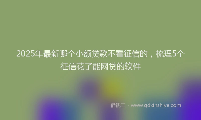 2025年最新哪个小额贷款不看征信的，梳理5个征信花了能网贷的软件