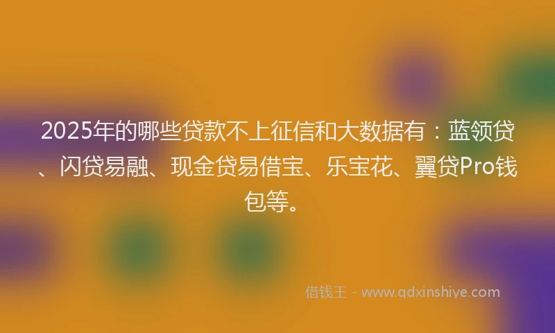 2025年的哪些贷款不上征信和大数据有：蓝领贷、闪贷易融、现金贷易借宝、乐宝花、翼贷Pro钱包等。