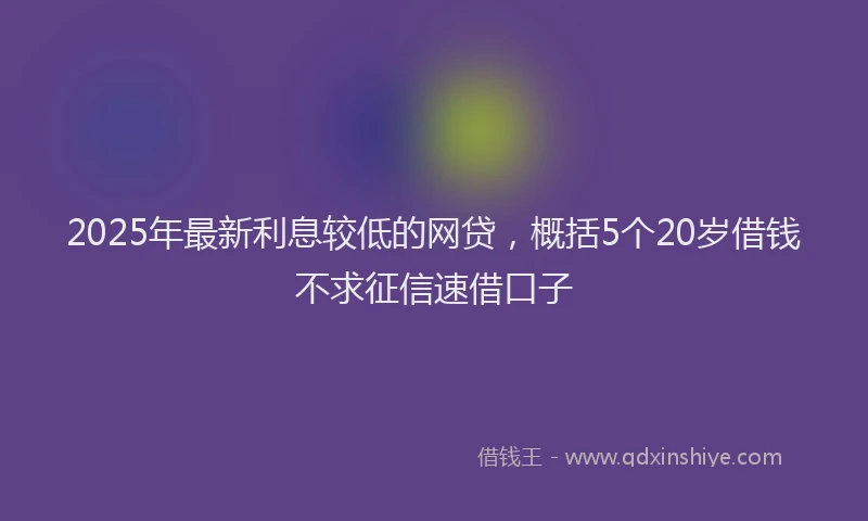 2025年最新利息较低的网贷，概括5个20岁借钱不求征信速借口子