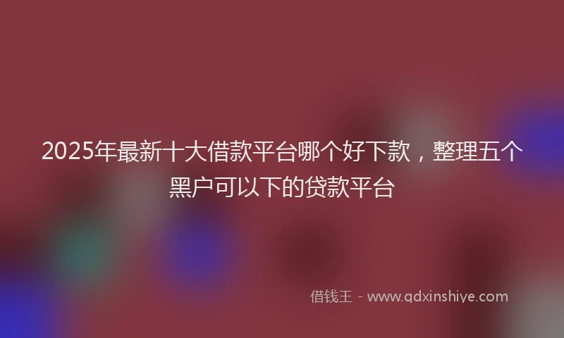 2025年最新十大借款平台哪个好下款，整理五个黑户可以下的贷款平台