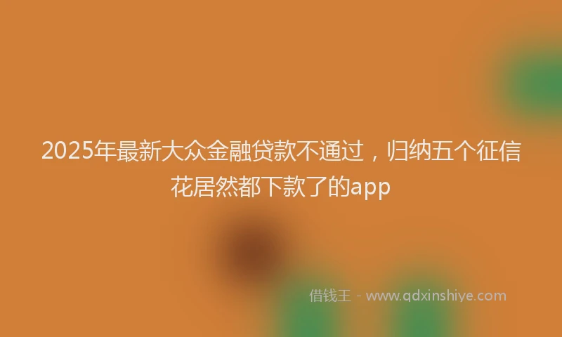 2025年最新大众金融贷款不通过，归纳五个征信花居然都下款了的app