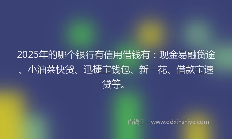 2025年的哪个银行有信用借钱有：现金易融贷途、小油菜快贷、迅捷宝钱包、新一花、借款宝速贷等。