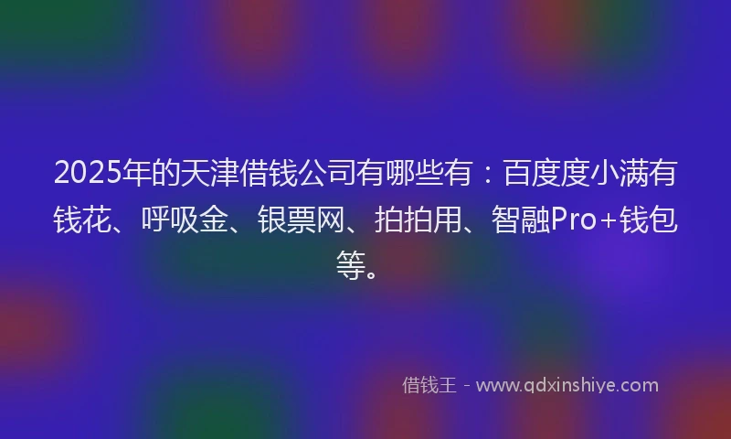 2025年的天津借钱公司有哪些有：百度度小满有钱花、呼吸金、银票网、拍拍用、智融Pro+钱包等。