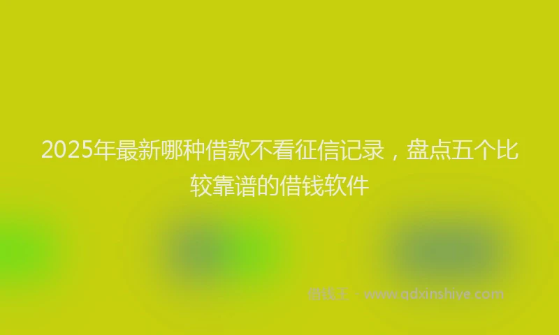 2025年最新哪种借款不看征信记录，盘点五个比较靠谱的借钱软件