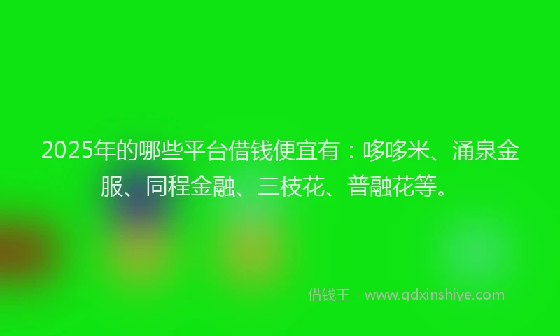 2025年的哪些平台借钱便宜有：哆哆米、涌泉金服、同程金融、三枝花、普融花等。